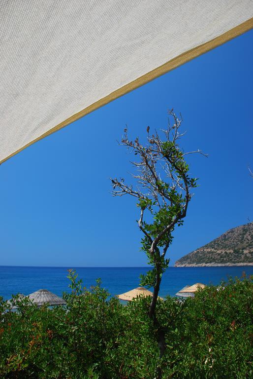 Hoppala Pension Datça Buitenkant foto