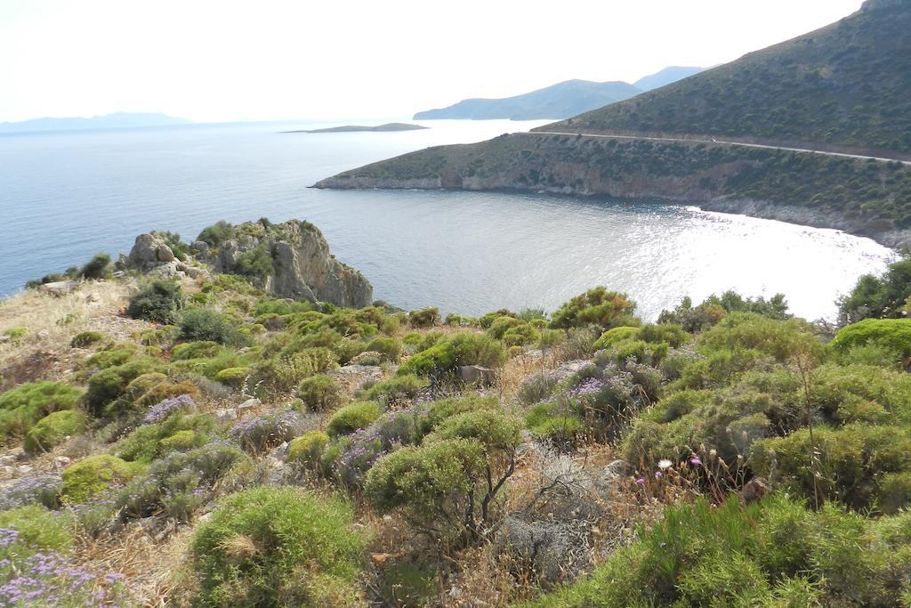 Hoppala Pension Datça Buitenkant foto